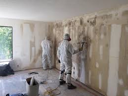 Best Commercial Mold Inspection  in Elburn, IL